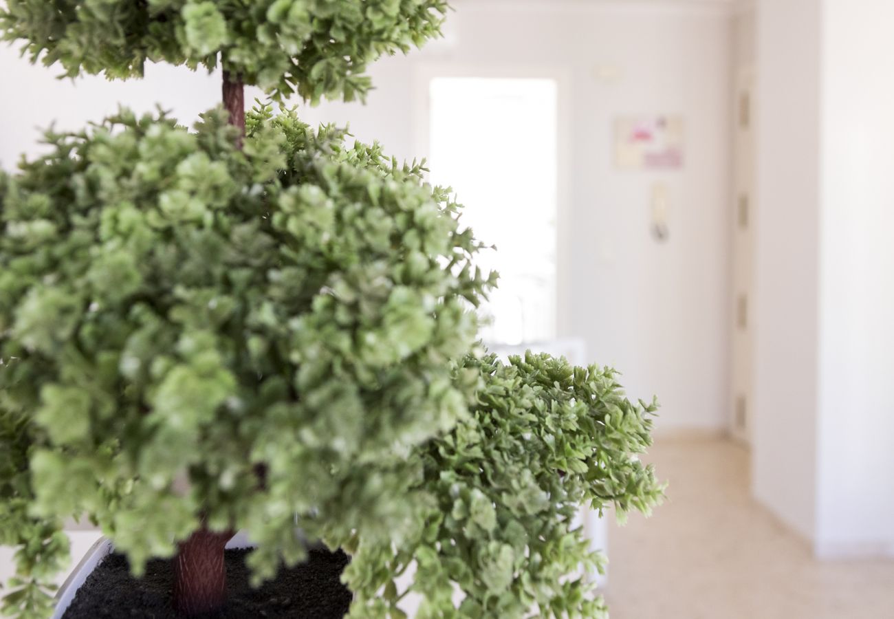 Appartamento a Playa de Gandía - Bella proprietà con 2 camere da letto. Pool. Wifi