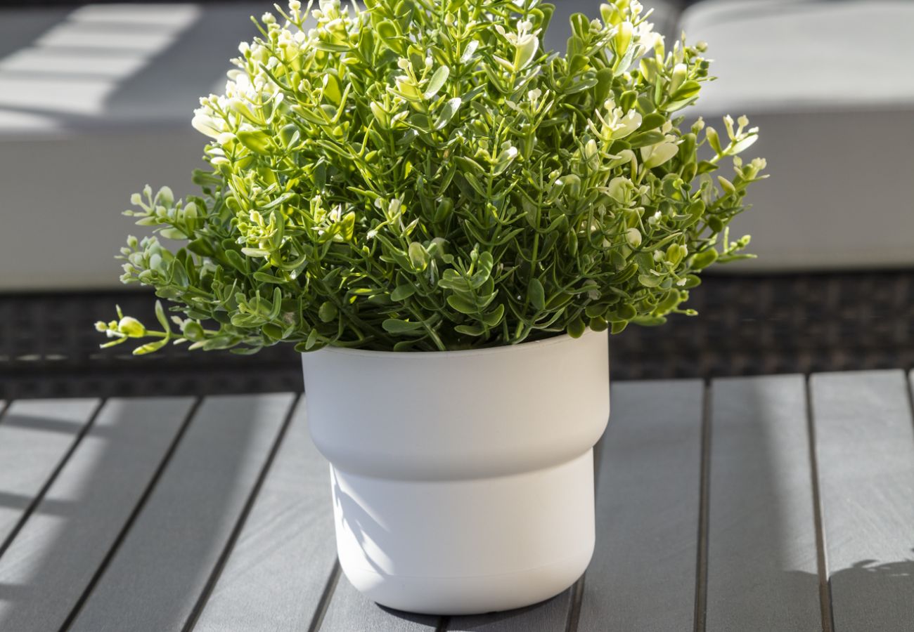 Appartamento a Playa de Gandía -  Splendida vista sul mare / piscina