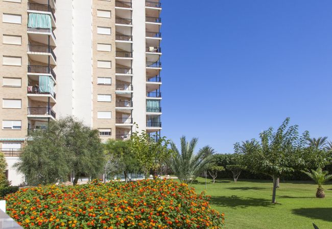 Appartamento a Playa de Gandía - Appartamento con vista sul mare situato a pochi passi dalla spiaggia. Wifi gratuito Appartamento a Playa de Gandía - Appartamento con vista sul mare situato a pochi passi dalla spiaggia. Wifi gratuito