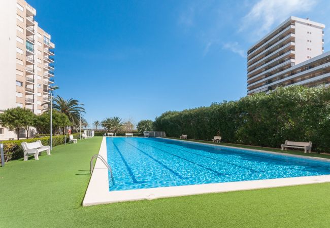 Appartamento a Playa de Gandía - Appartamento con vista sul mare situato a pochi passi dalla spiaggia. Wifi gratuito Appartamento a Playa de Gandía - Appartamento con vista sul mare situato a pochi passi dalla spiaggia. Wifi gratuito