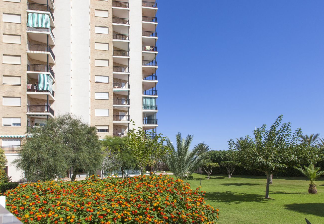 Appartamento a Playa de Gandía - Appartamento con vista sul mare situato a pochi passi dalla spiaggia. Wifi gratuito Appartamento a Playa de Gandía - Appartamento con vista sul mare situato a pochi passi dalla spiaggia. Wifi gratuito