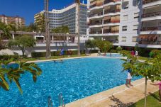 Appartamento a Playa de Gandía -  Bella proprietà con 3 camere da letto. Pool. TV satellitare Wifi