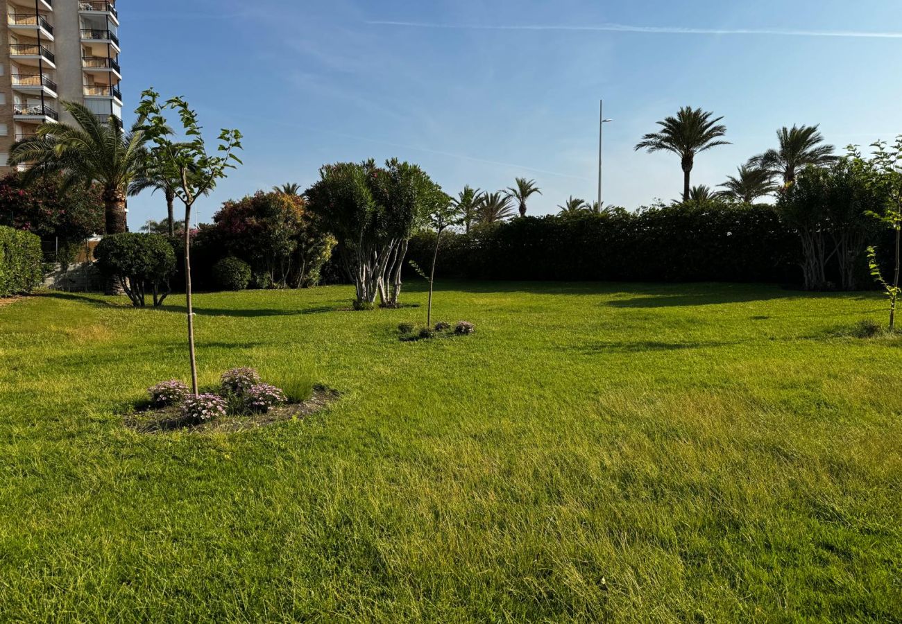 Appartamento a Playa de Gandía - Spettacolare appartamento con vista incredibile. Ristrutturato. - Affitto solo per famiglie