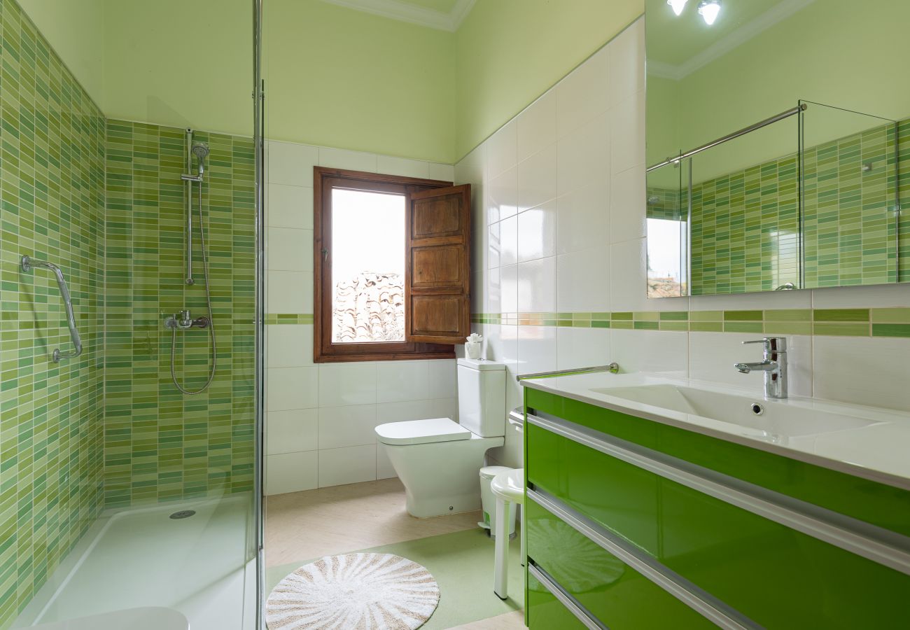 Appartamento a Arucas - HomeForGuest NUOVO Duplex con tetto vicino alla cattedrale di Arucas