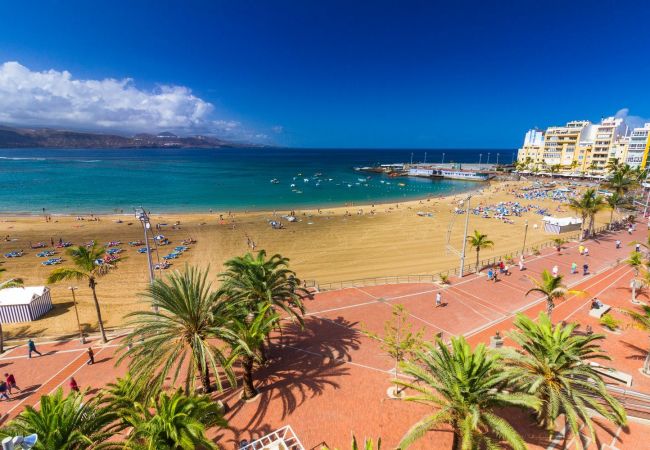 Appartamento a Las Palmas de Gran Canaria - HomeForGuest Appartamento vicino a Las Canteras con parcheggio GRATUITO Appartamento a Las Palmas de Gran Canaria - HomeForGuest Appartamento vicino a Las Canteras con parcheggio GRATUITO