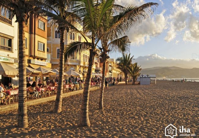 Appartamento a Las Palmas de Gran Canaria - HomeForGuest Appartamento vicino a Las Canteras con parcheggio GRATUITO Appartamento a Las Palmas de Gran Canaria - HomeForGuest Appartamento vicino a Las Canteras con parcheggio GRATUITO