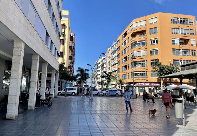 Appartamento a Las Palmas de Gran Canaria - HomeForGuest Appartamento vicino a Las Canteras con parcheggio GRATUITO Appartamento a Las Palmas de Gran Canaria - HomeForGuest Appartamento vicino a Las Canteras con parcheggio GRATUITO