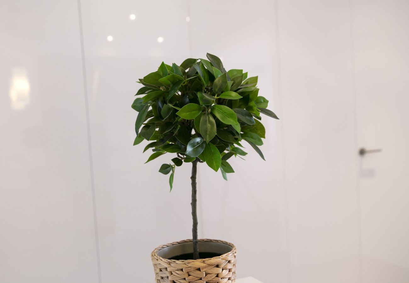 Appartamento a Playa de Gandía - PRECIOSO APARTAMENTO DÚPLEX SITUADO EN PRIMERA LÍNEA DE PLAYA