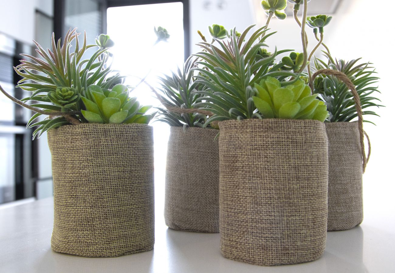 Appartamento a Playa de Gandía - Nuevo Apartamento a escasos metros del Mar