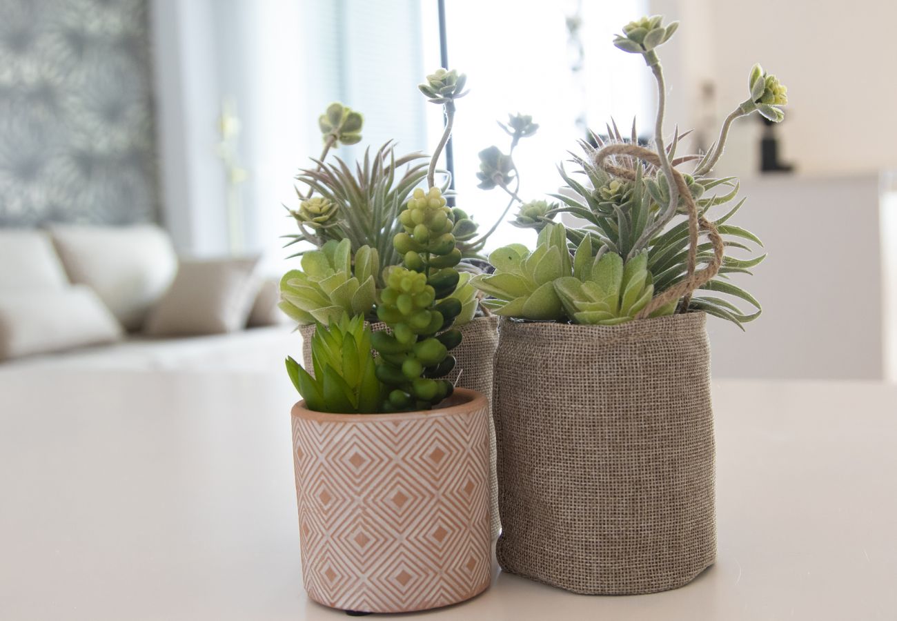 Appartamento a Playa de Gandía - Nuevo Apartamento a escasos metros del Mar