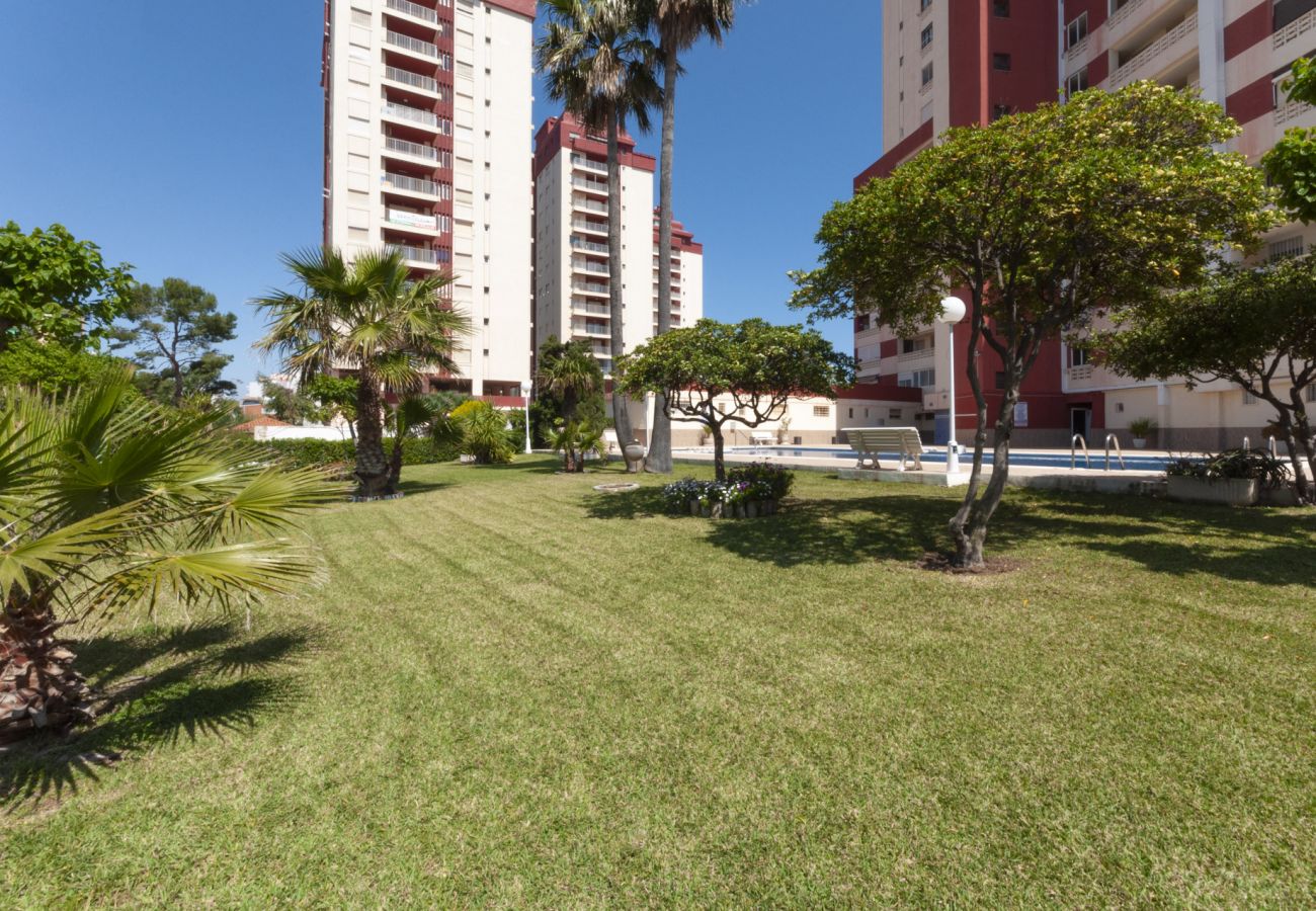 Appartamento a Playa de Gandía - AG Aquarium. 