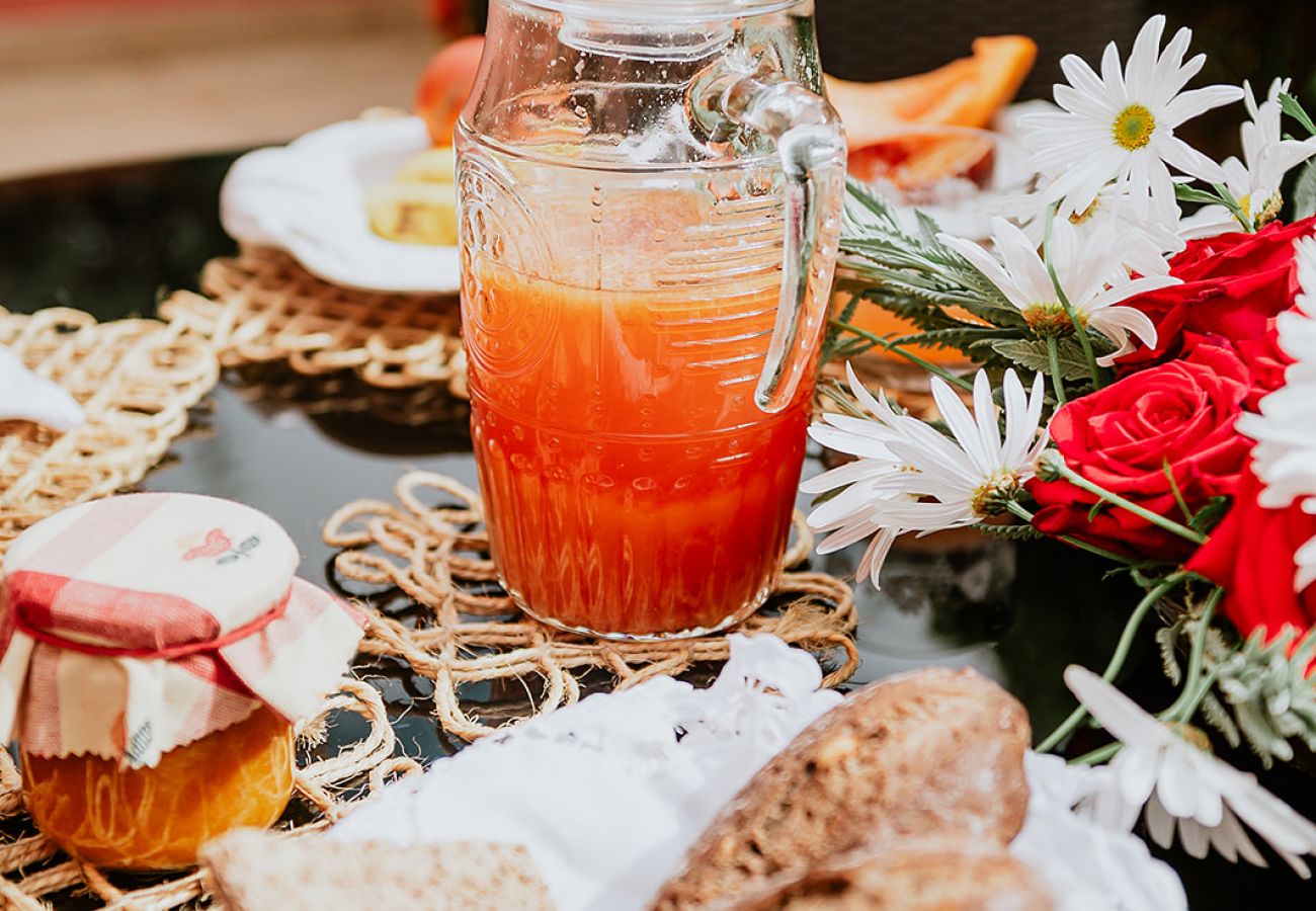 Casa rurale a Tacoronte - HomeForGuest Rural House El Laurel with terrace and large gardens