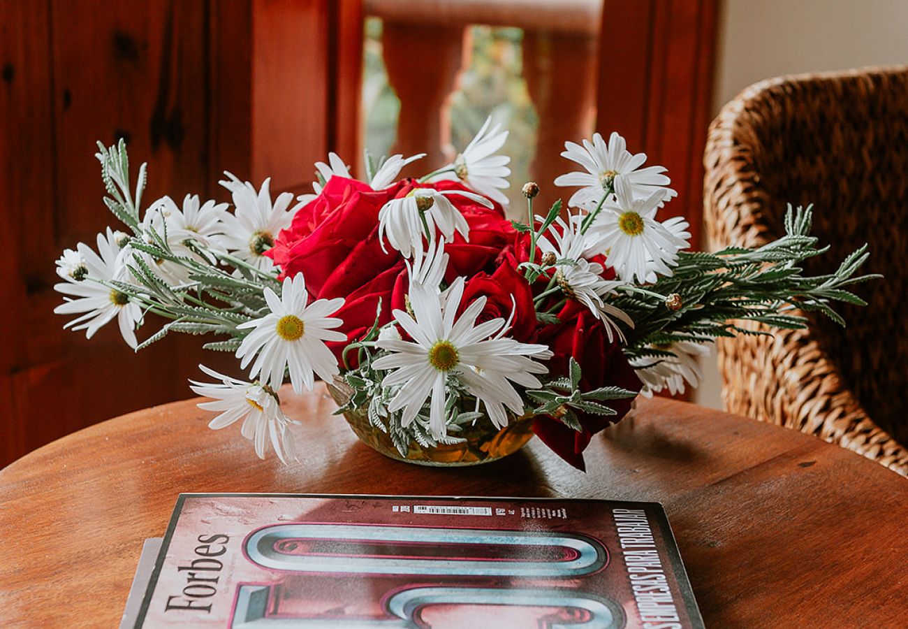 Casa rurale a Tacoronte - HomeForGuest Rural House El Laurel with terrace and large gardens