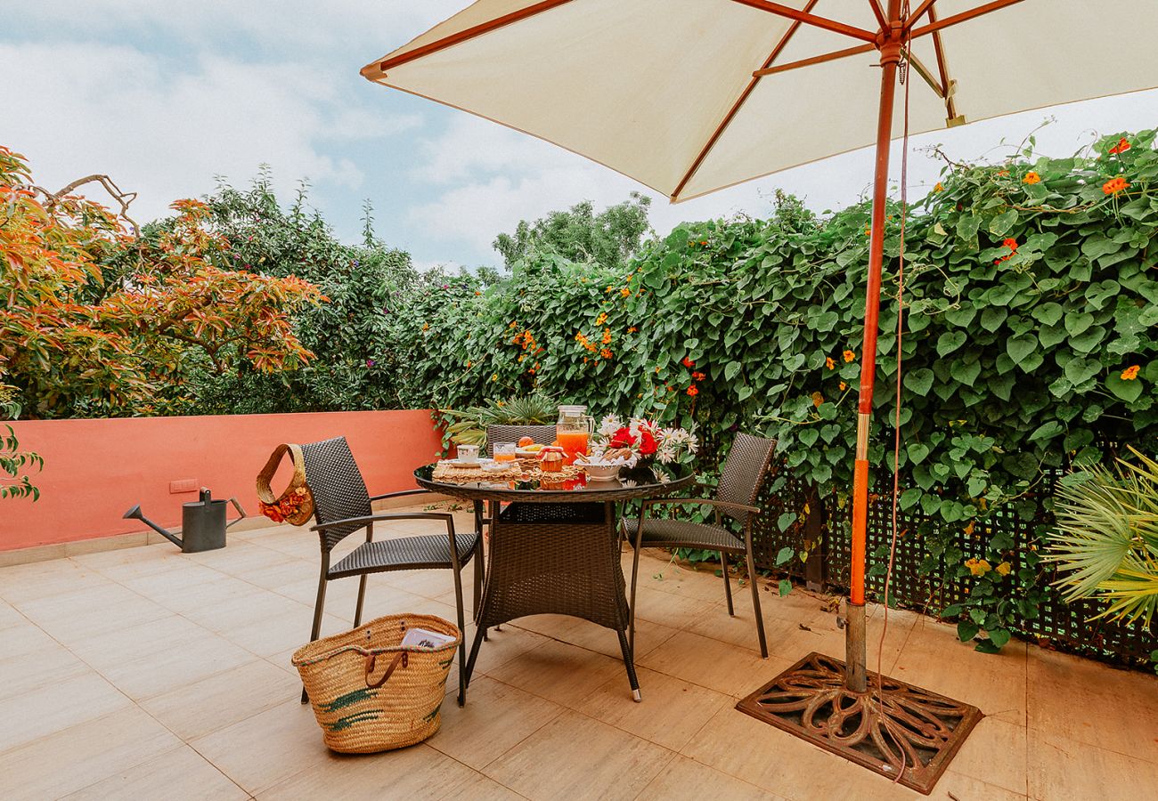 Casa rurale a Tacoronte - HomeForGuest Rural House El Laurel with terrace and large gardens