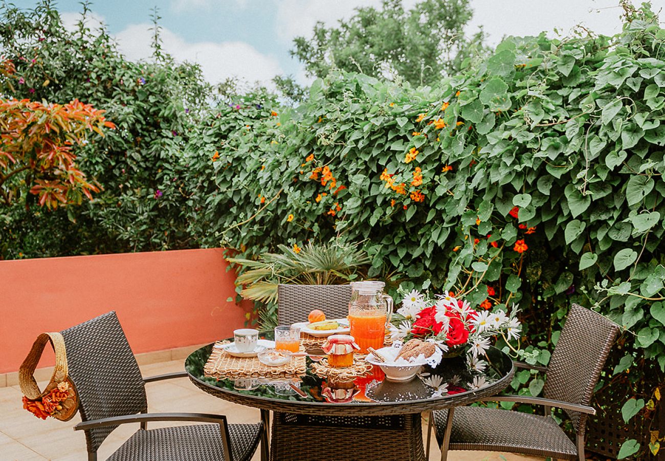 Casa rurale a Tacoronte - HomeForGuest Rural House El Laurel with terrace and large gardens