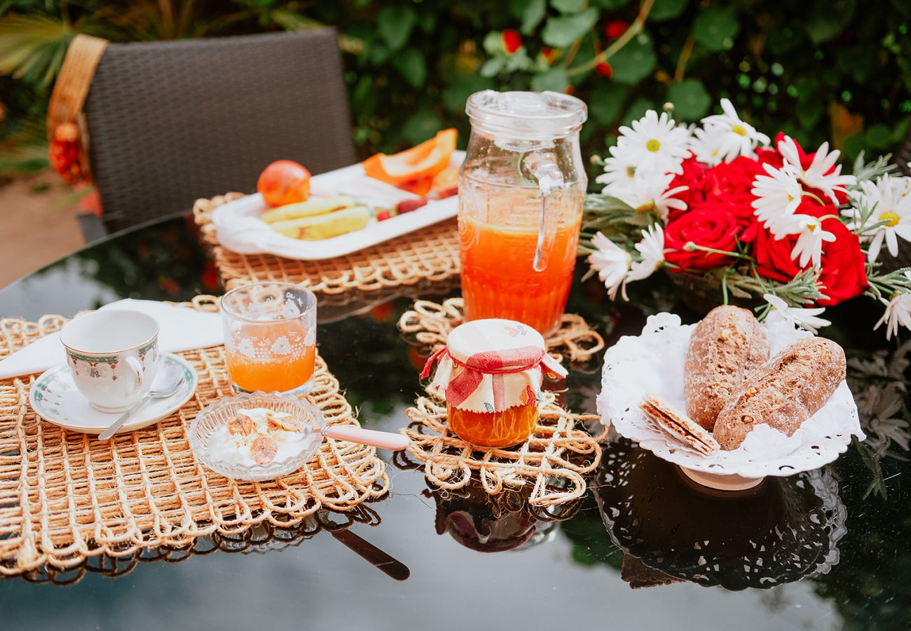 Casa rurale a Tacoronte - HomeForGuest Rural House El Laurel with terrace and large gardens