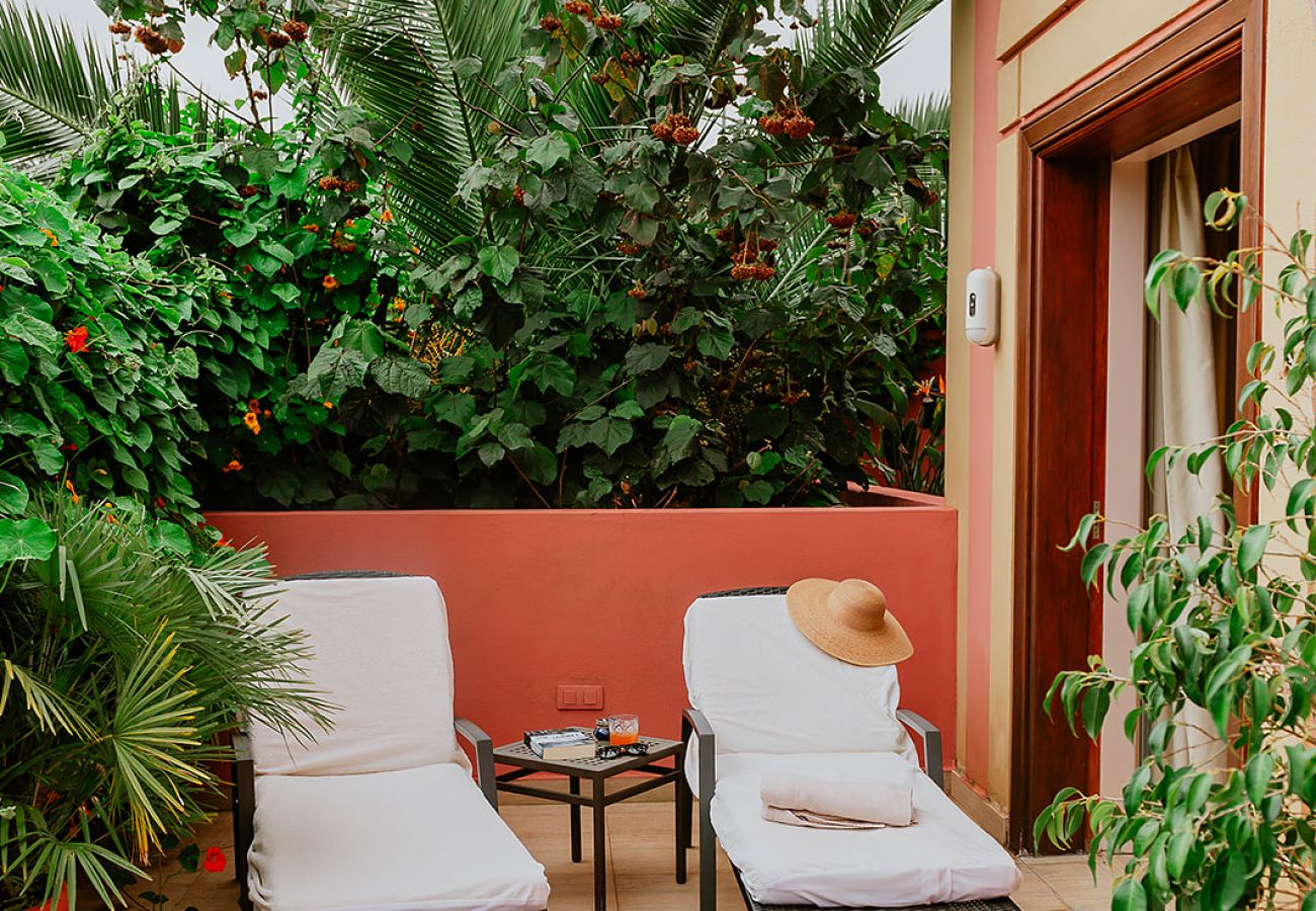 Casa rurale a Tacoronte - HomeForGuest Rural House El Laurel with terrace and large gardens