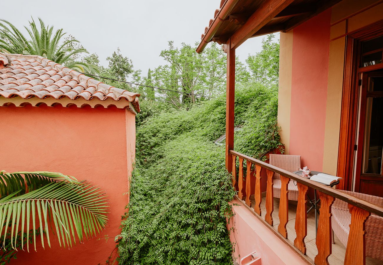 Casa rurale a Tacoronte - HomeForGuest Rural House El Laurel with terrace and large gardens