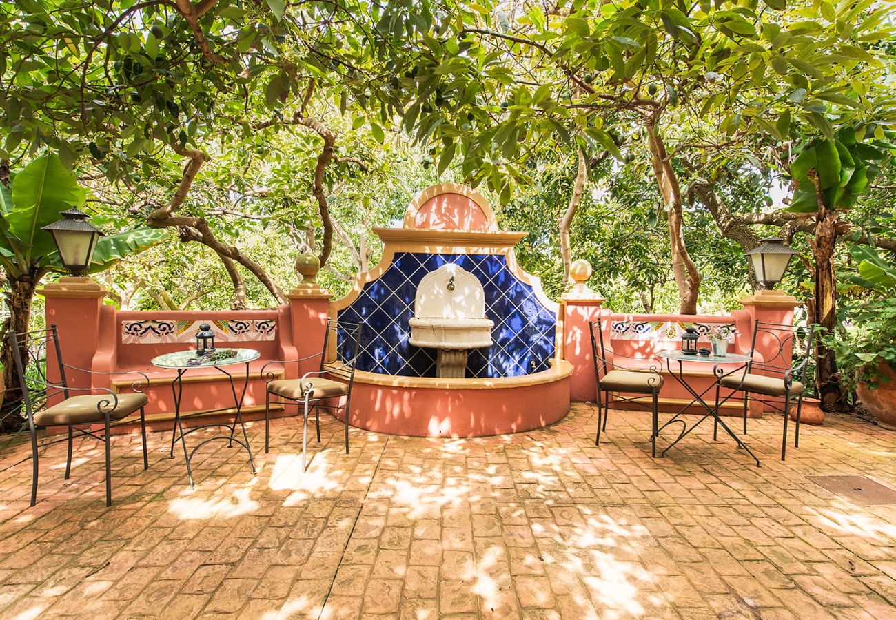 Casa rurale a Tacoronte - HomeForGuest Rural House El Laurel with terrace and large gardens