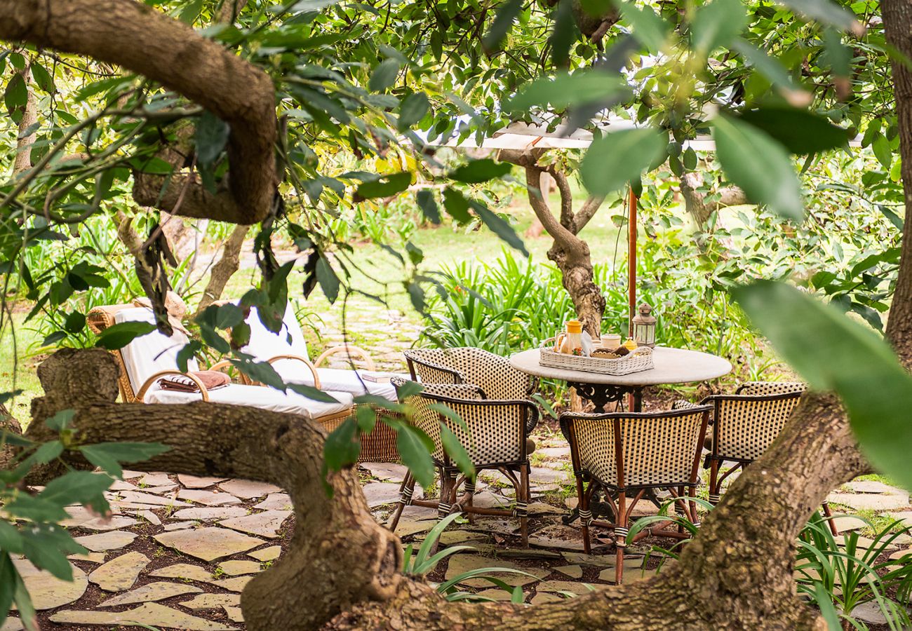 Casa rurale a Tacoronte - HomeForGuest Rural House El Laurel with terrace and large gardens