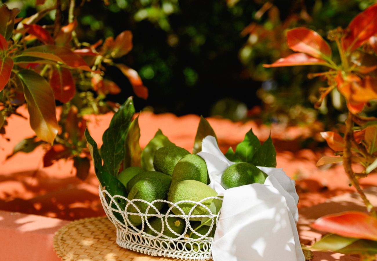 Casa rurale a Tacoronte - HomeForGuest Rural House El Laurel with terrace and large gardens