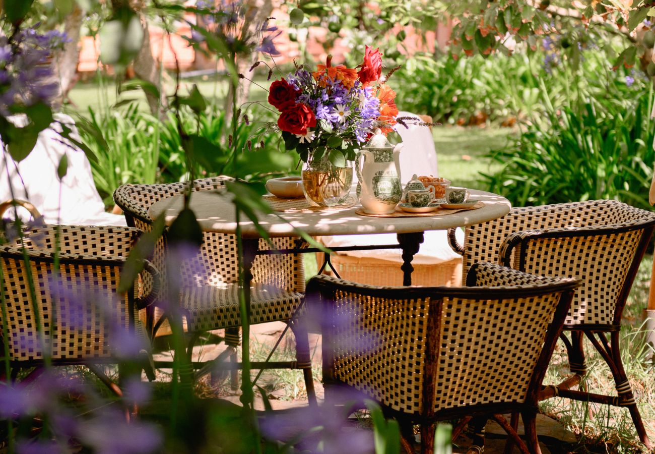 Casa rurale a Tacoronte - HomeForGuest Rural House El Laurel with terrace and large gardens