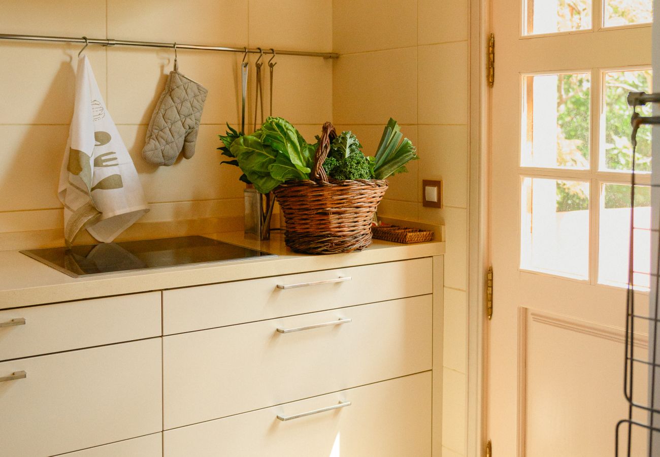 Casa rurale a Tacoronte - HomeForGuest Rural House El Laurel with terrace and large gardens