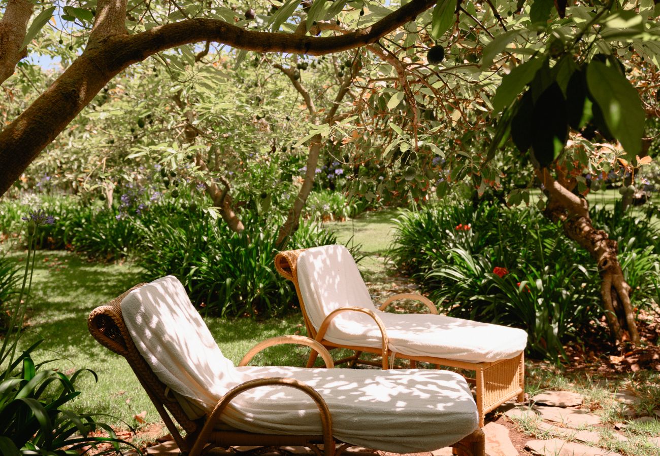 Casa rurale a Tacoronte - HomeForGuest Rural House El Laurel with terrace and large gardens