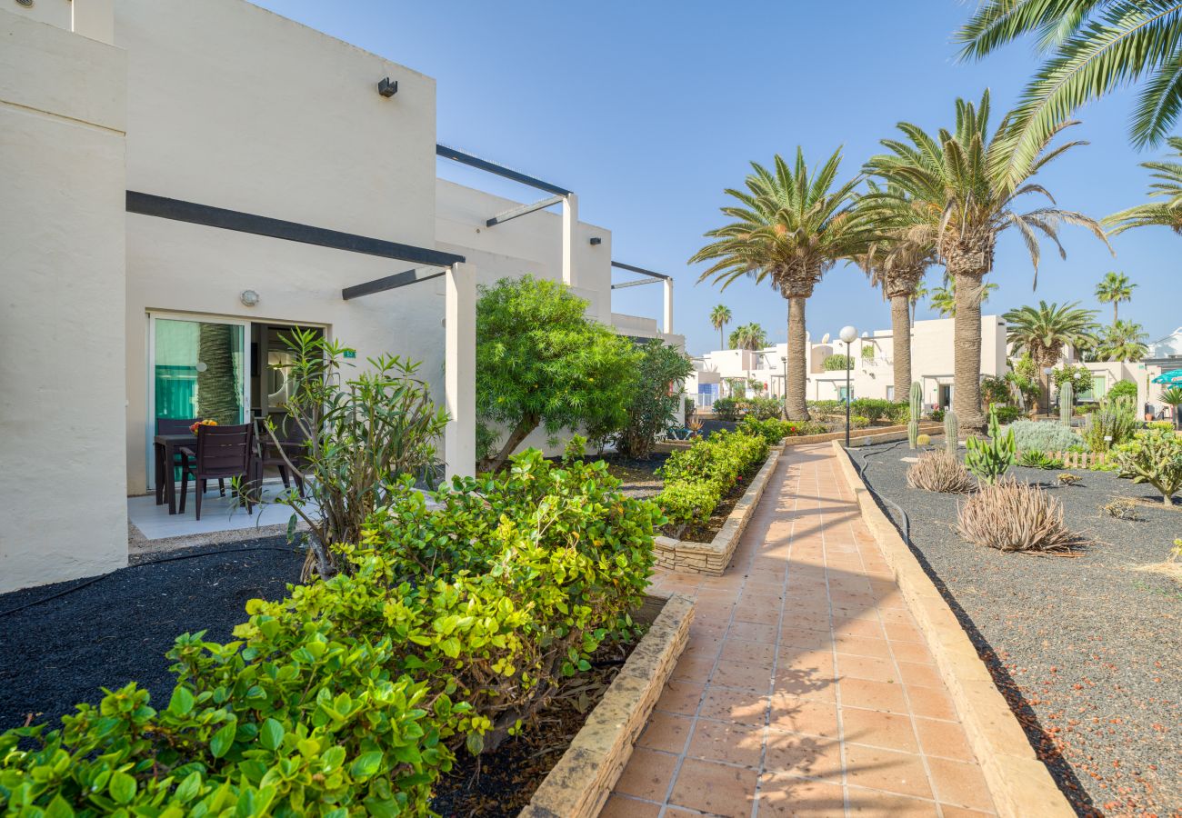Appartamento a Corralejo - Modern apartment. Swimming pool and beachfront. Corralejo 