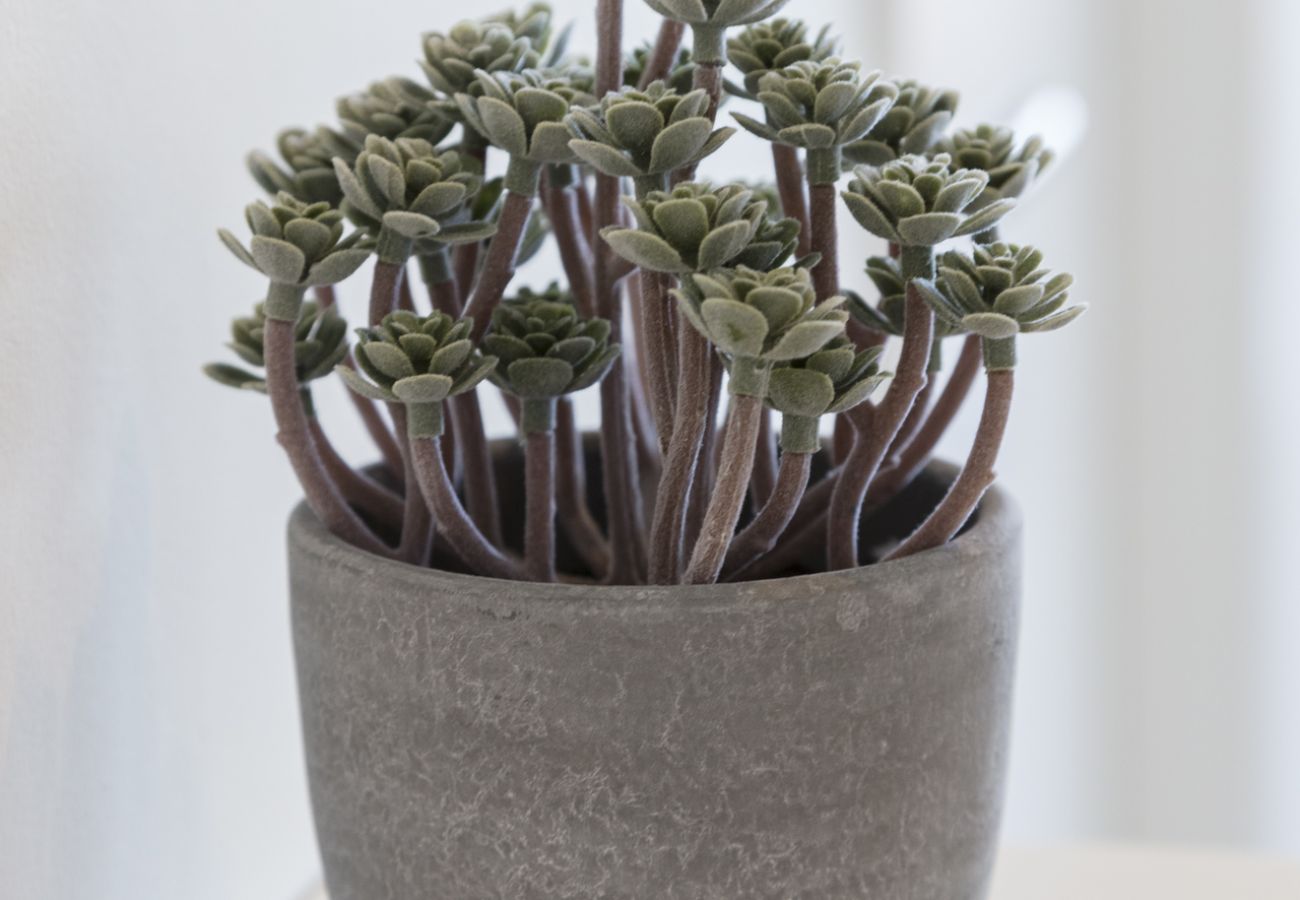 Appartamento a Playa de Gandía - AQUARIUM 10 SOLO FAMILIAS