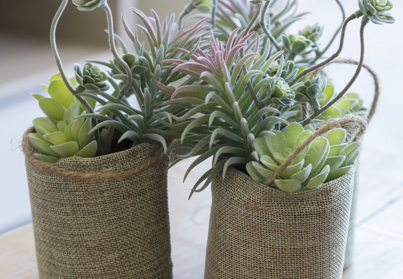 Appartamento a Playa de Gandía - AQUARIUM 10 SOLO FAMILIAS