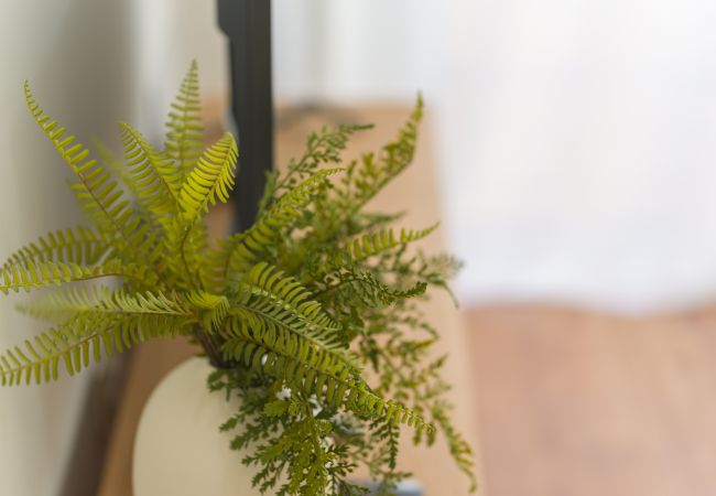 Studio a Las Palmas de Gran Canaria - HomeForGuest Studio Sol Canteras con terrazza  Studio a Las Palmas de Gran Canaria - HomeForGuest Studio Sol Canteras con terrazza