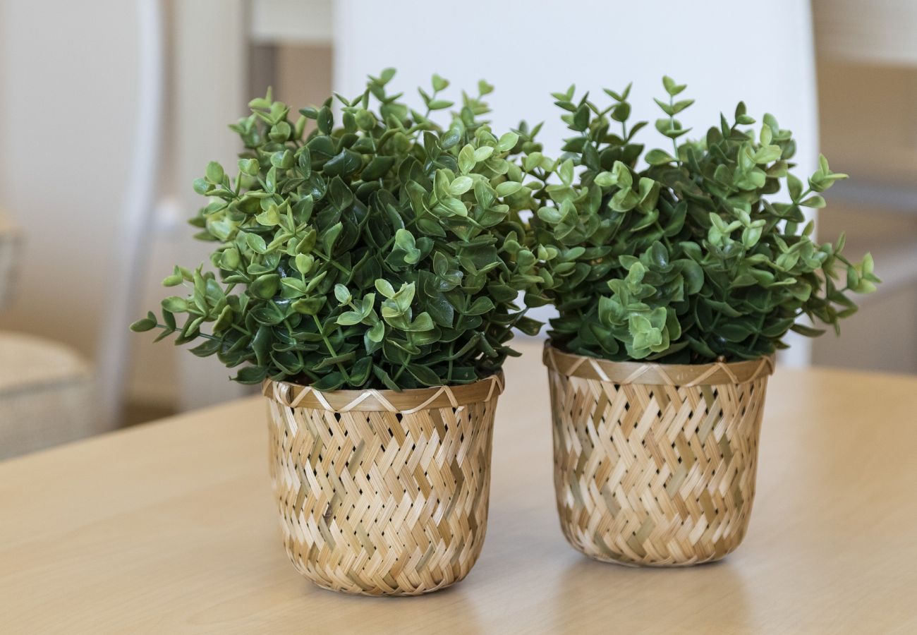 Appartamento a Playa de Gandía - Vacanze di lusso in Bermuda Appartamenti sulla spiaggia