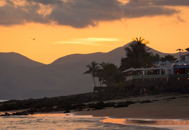 Appartamento a Puerto del Carmen - Austria | Apartamento en Lanzarote - Canarias -  España Appartamento a Puerto del Carmen - Austria | Apartamento en Lanzarote - Canarias -  España