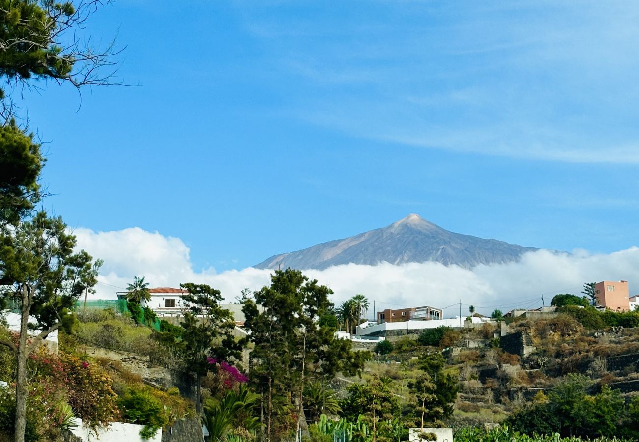 Studio a Icod de los Vinos - Blue Monis with Amazing Views
