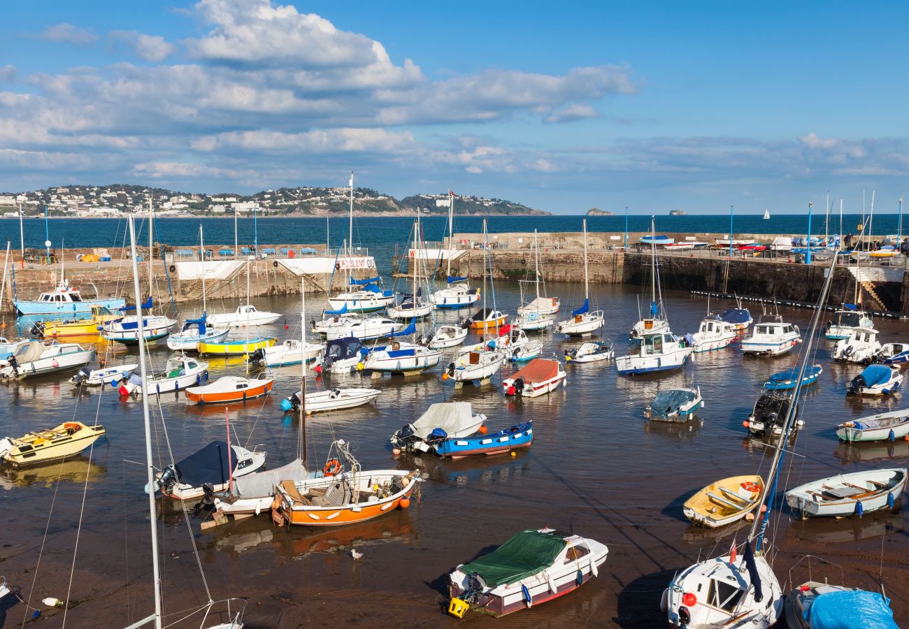 Casa a Paignton - The Spinney - Large home with hot tub, gym, amazing sea views