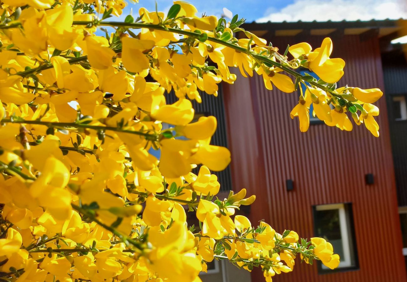 Baita a San Carlos de Bariloche - Cálido complejo de 3 dúplex ubicados a 20 mts de la playa del Lago Moreno.