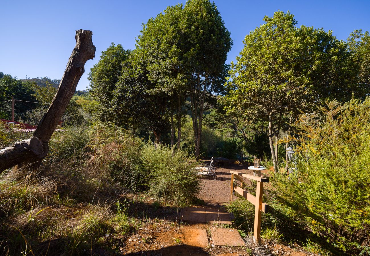 Casa rurale a Valleseco - Sombra del Laurel By Canarias Getaway