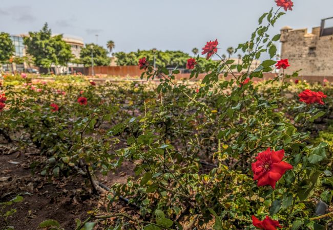Casa a Las Palmas de Gran Canaria - Castle Views By CanariasGetaway Casa a Las Palmas de Gran Canaria - Castle Views By CanariasGetaway