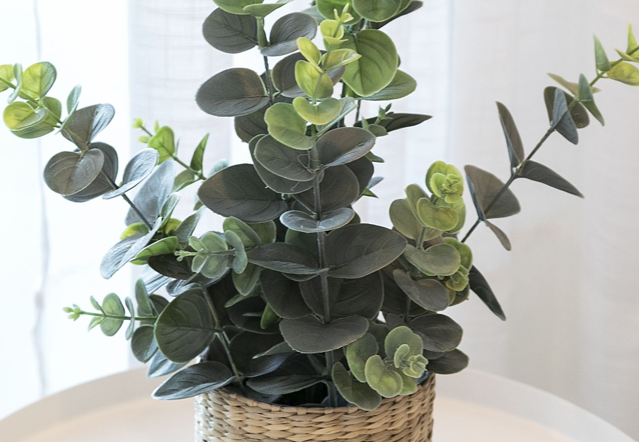 Appartamento a Playa de Gandía - AG PIRÁMIDE