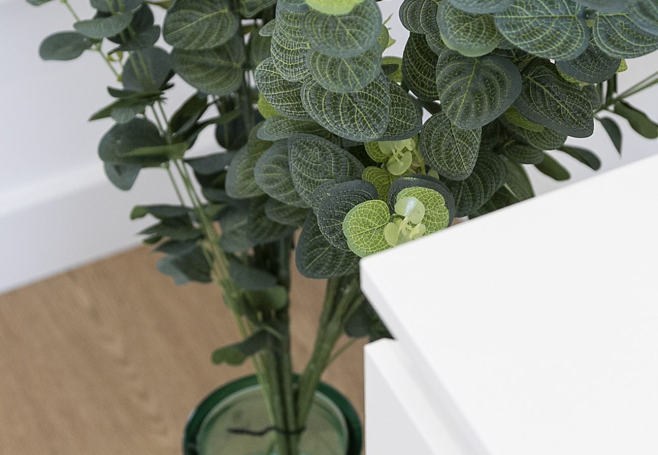 Appartamento a Playa de Gandía - AG PIRÁMIDE