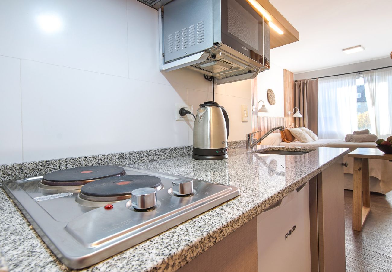 Studio a San Carlos de Bariloche - Abedul appartamento nel pieno centro della citta Bariloche