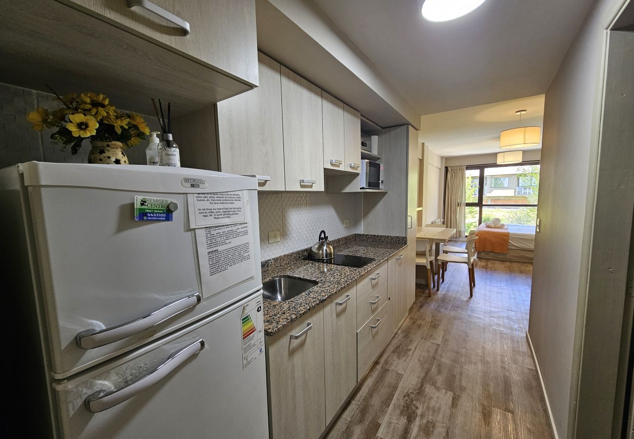 Studio a San Carlos de Bariloche - appartamento Paqualino nel centro di Bariloche