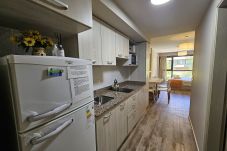 Studio a San Carlos de Bariloche - appartamento Paqualino nel centro di Bariloche