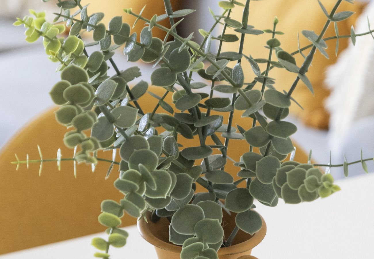 Appartamento a Playa de Gandía - AG ALAMO 8C