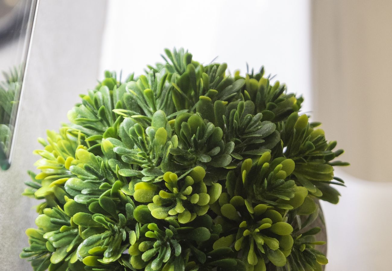 Appartamento a Playa de Gandía - AG ALAMO 8C