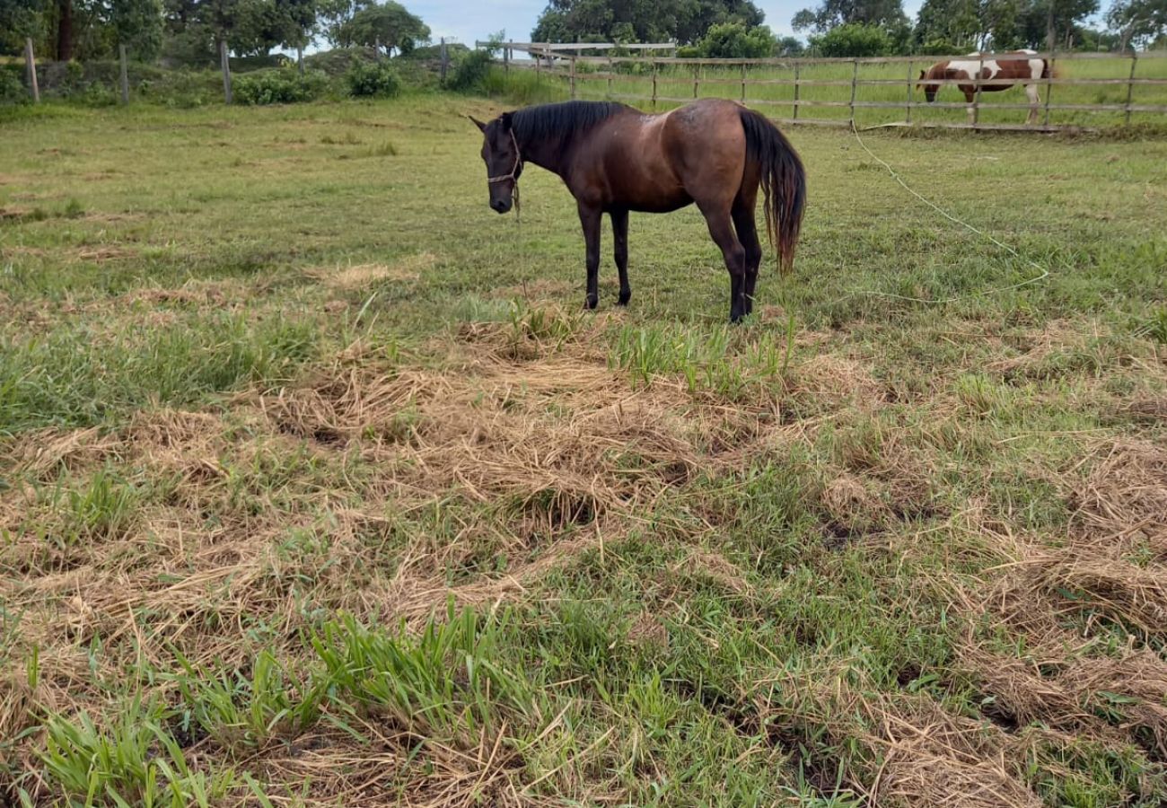 Casa a Iguaba Grande - Refugio Brisa do Campo | IG - SOLAR DO CAMPO